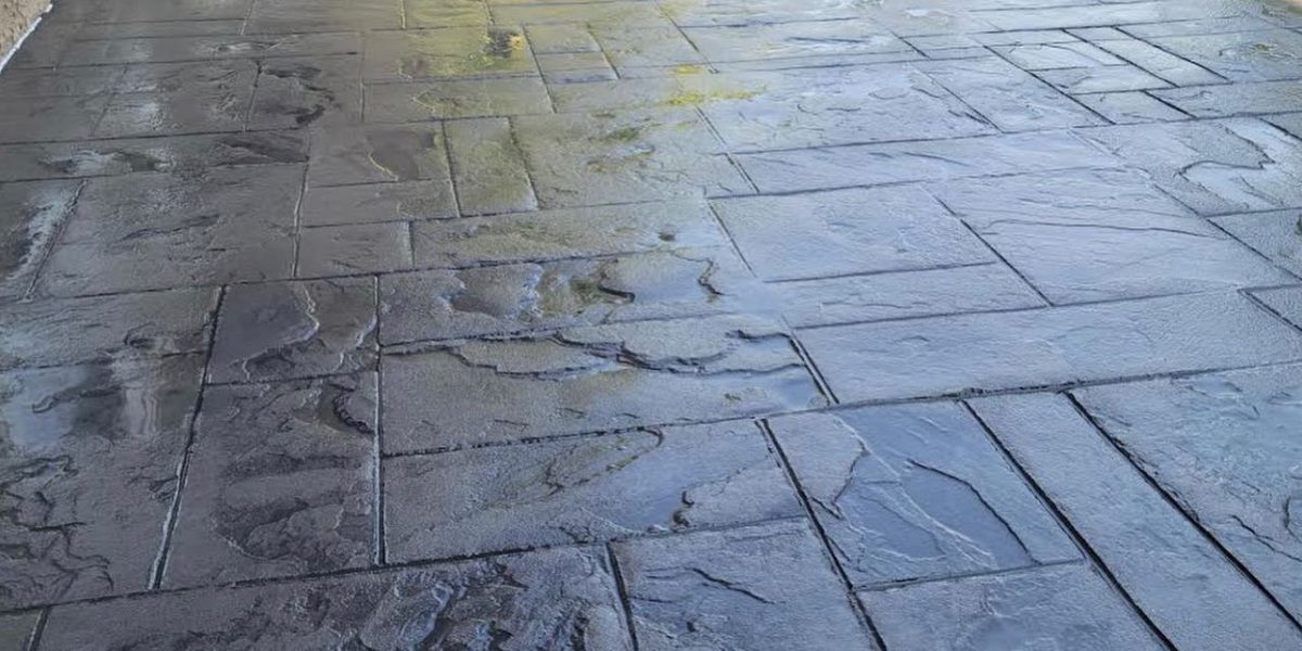 248757802_3181496715466107_4061555430160975990_n